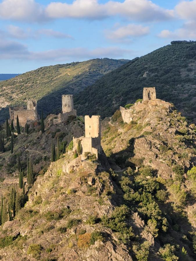 3 Star Surdespine Historic 4 Chateaux Lastours Air Conditioned Exteriör bild