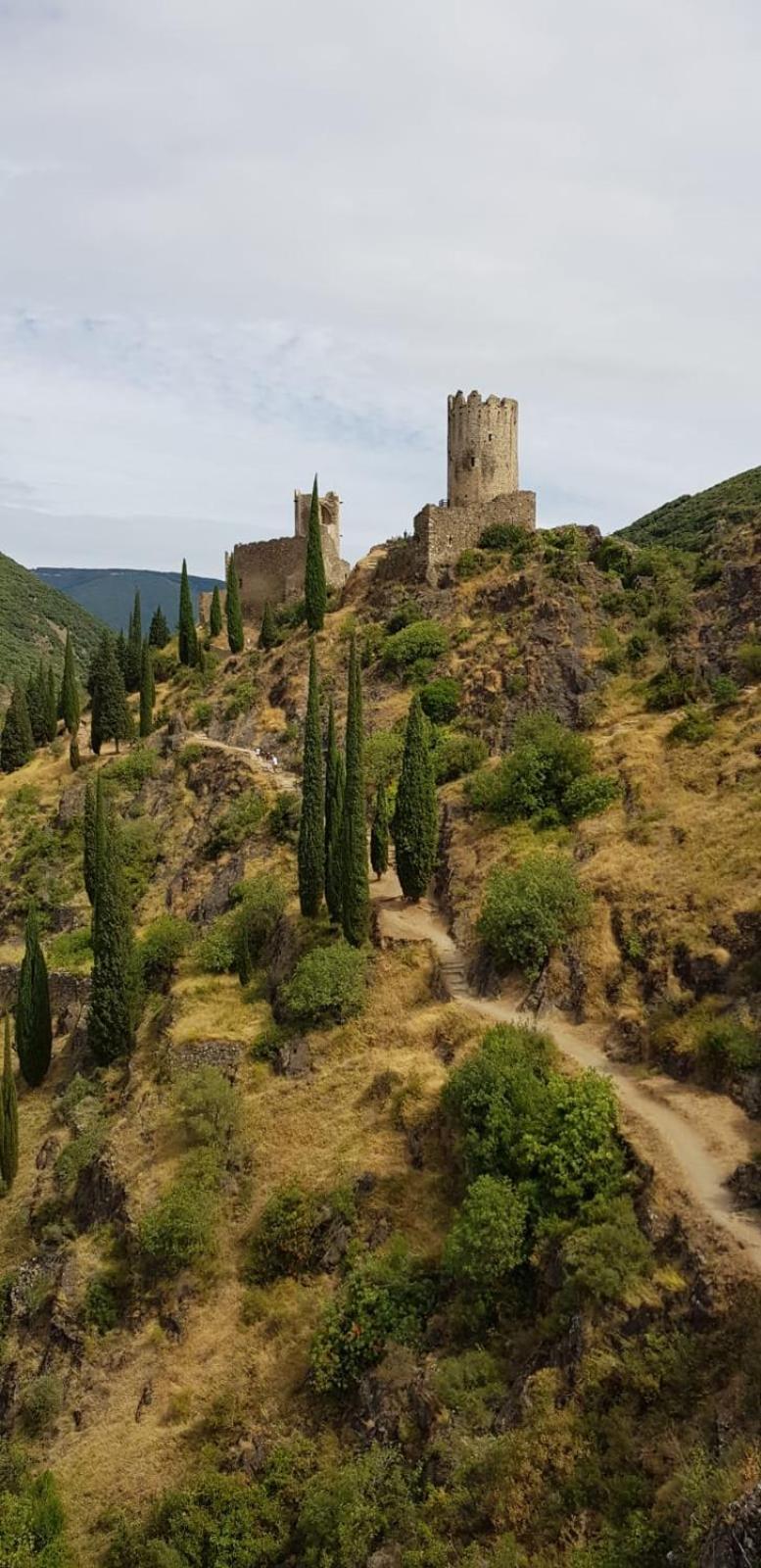 3 Star Surdespine Historic 4 Chateaux Lastours Air Conditioned Exteriör bild